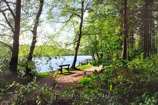 Portglenone forest seat.jpg